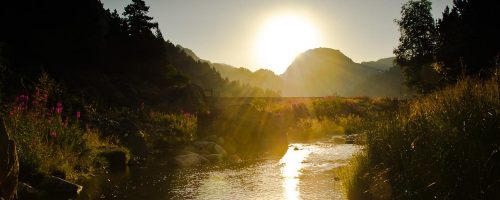 Lever de soleil sur l’Étang des Bésines